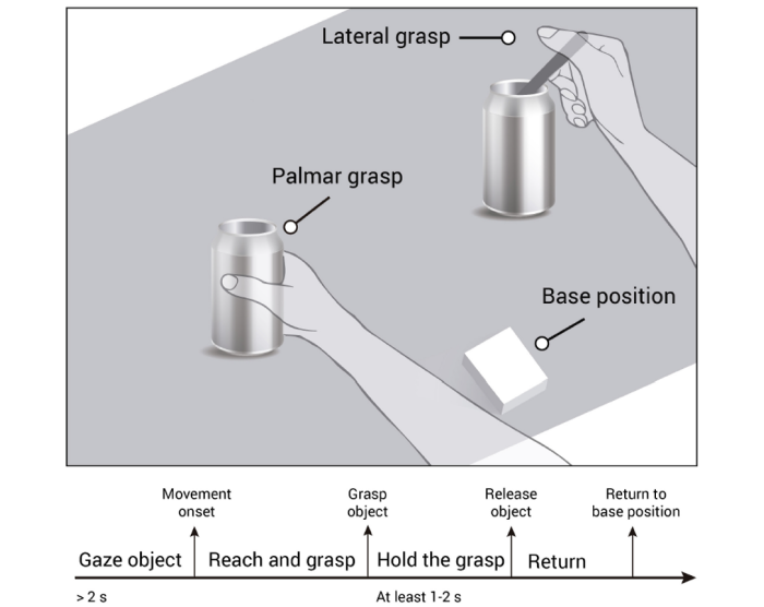 grasp-task