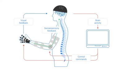 Reach-and-Grasp EEG Decoder featured image