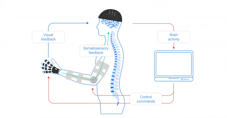 Reach-and-Grasp EEG Decoder