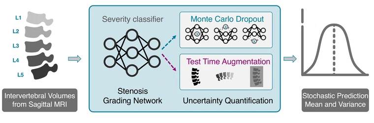 Uncertainty-Aware Lumbar Stenosis Classifier