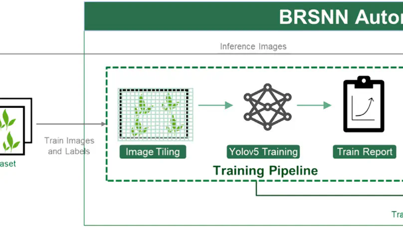 Estimation of Flea Beetle Damage in the Field Using a Multistage Deep Learning-Based Solution